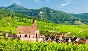 Alsace countryside